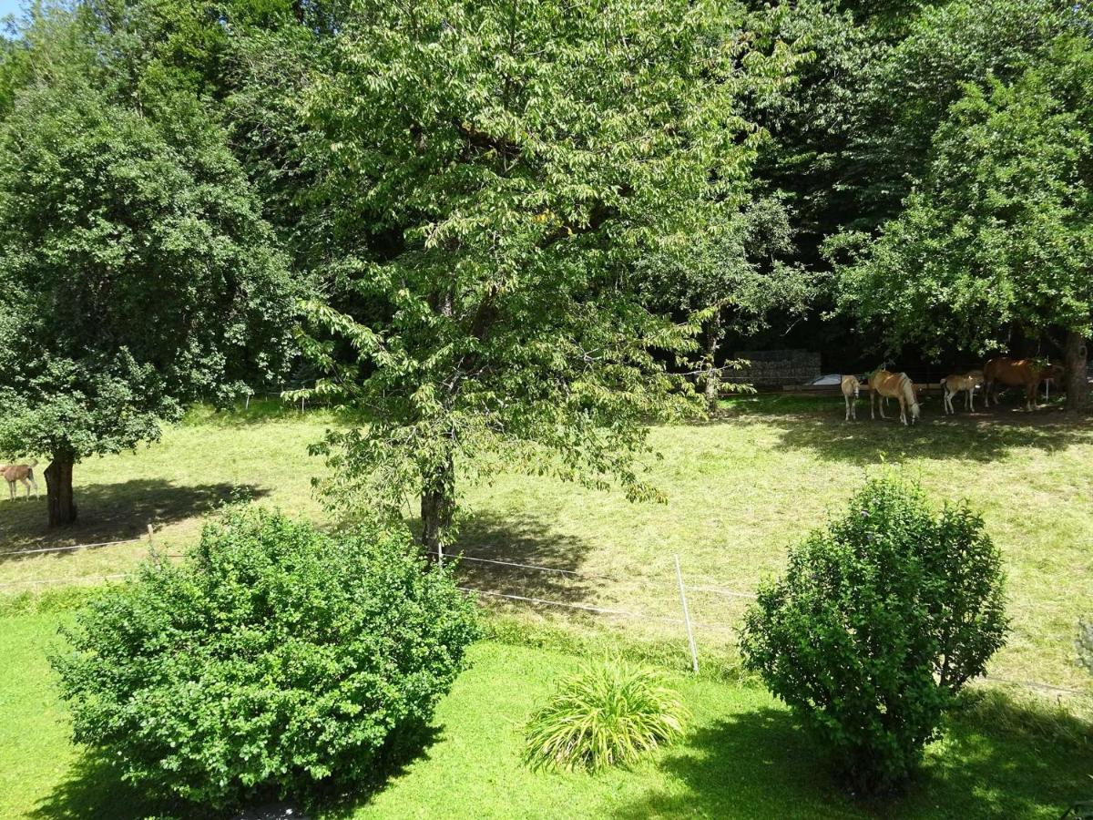 Ferienwohnungen Auhaus Bad Reichenhall Esterno foto